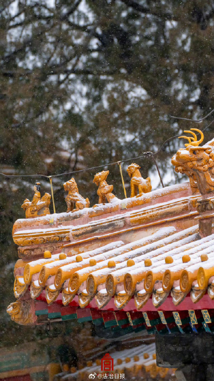 2025故宫雪景壁纸 一年一度故宫雪景大赏