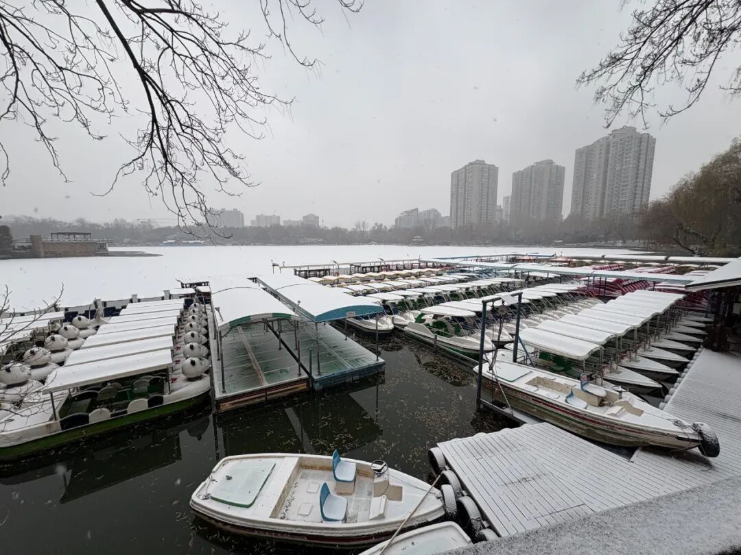 京城初雪！一大波雪景美图来了——