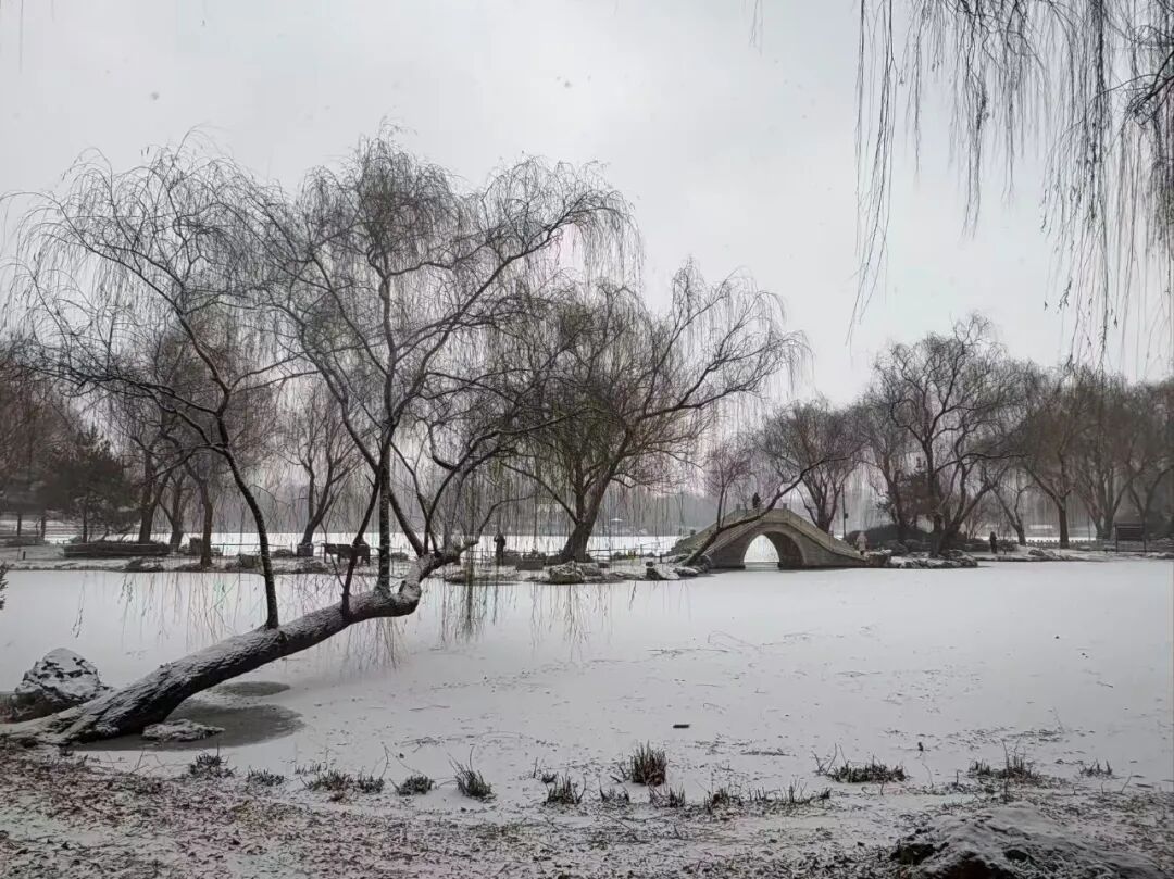 京城初雪！一大波雪景美图来了——