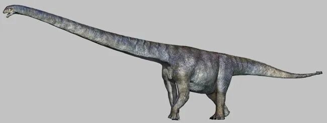 三江马门溪龙!重庆发现恐龙新种 三江马门溪龙!重庆发现恐龙新种