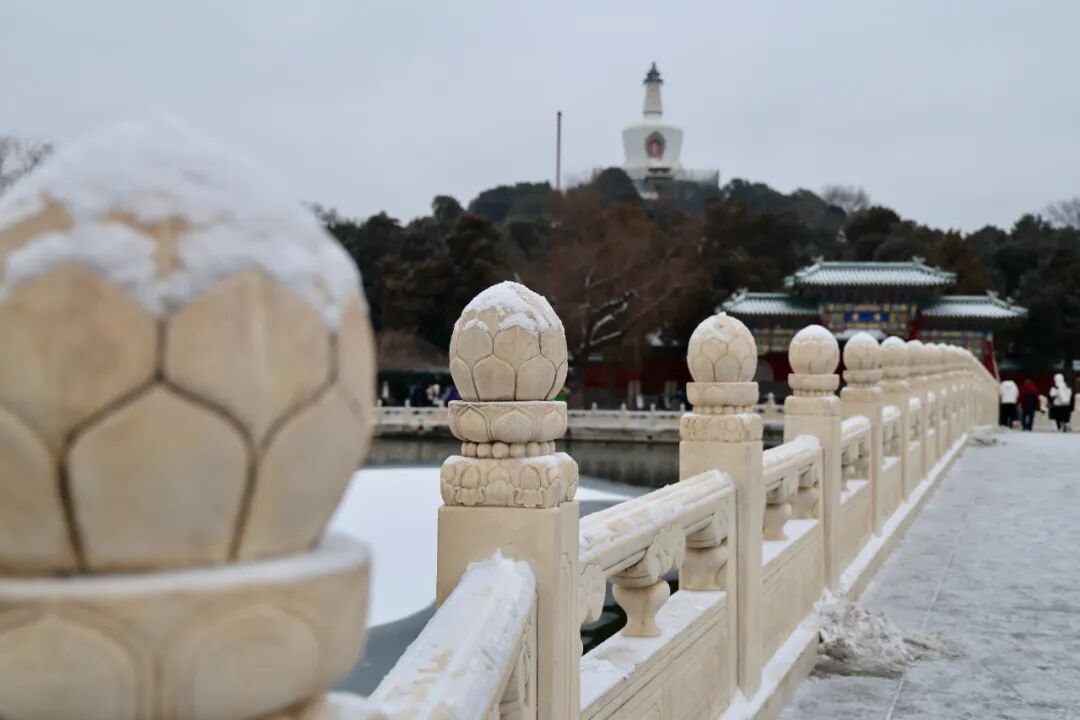 京城初雪！一大波雪景美图来了——