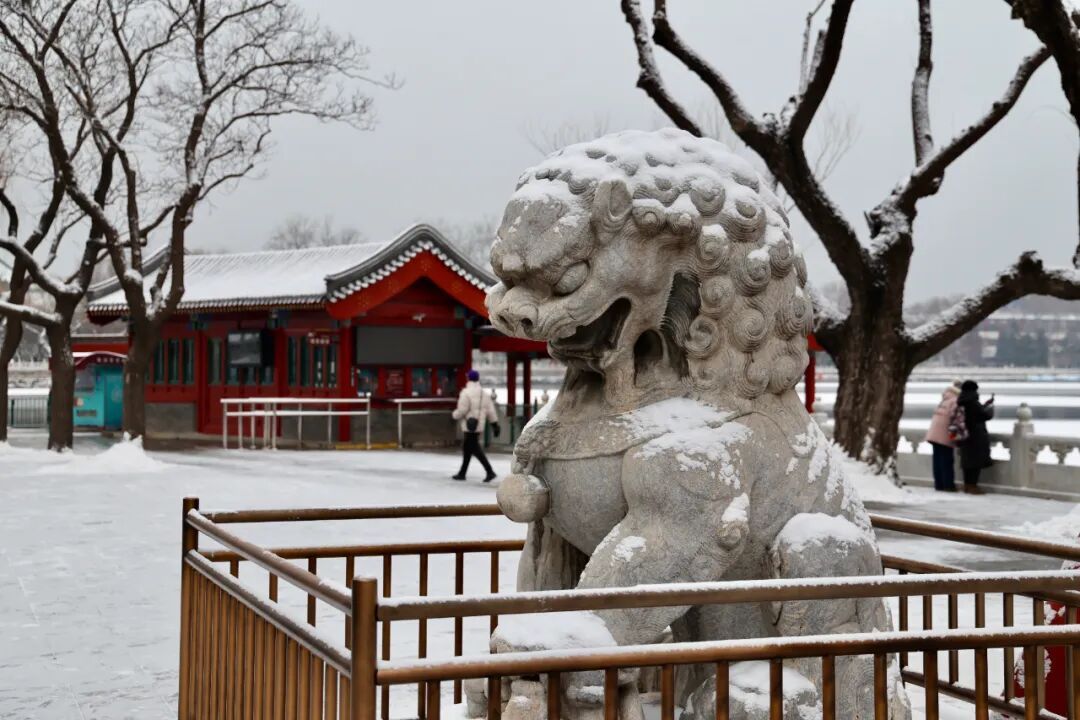 京城初雪！一大波雪景美图来了——