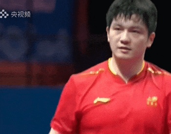 张本智和回应复刻樊振东庆祝动作：樊振东是我很喜欢的运动员