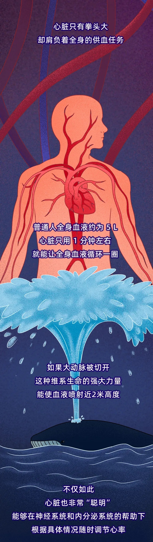 心脏最怕的4件事，你可能每天都在做