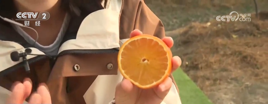 做好“土特产”文章 解锁希望田野里的乡村振兴密码