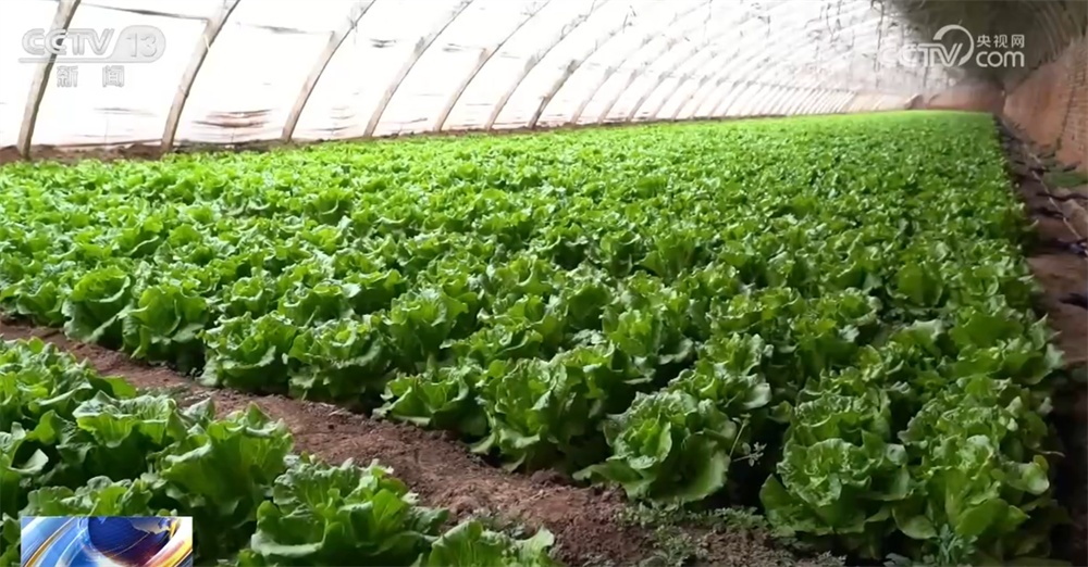 “众志成城”保通保畅保民生 多地多部门全力投入抗风雪、保安全一线