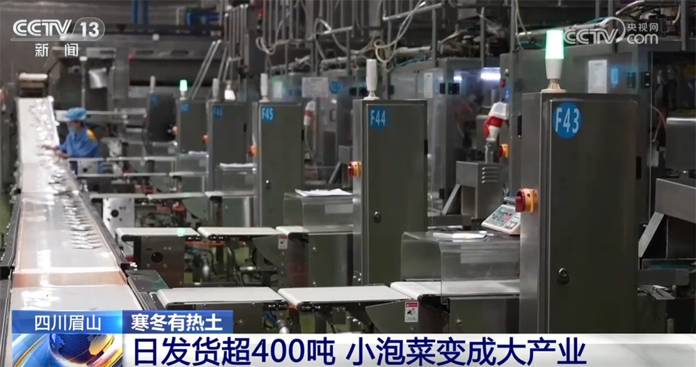 政策组合拳推动“小特产”变成“大产业” 一起揭开“下饭菜”富民密码 政策组合拳推动“小特产”变成“大产业” 一起揭开“下饭菜”富民密码