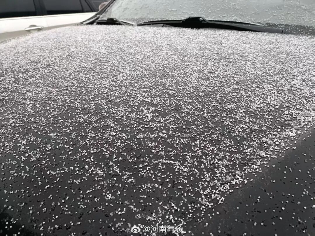 下雪啦！河南多地雪粒已转雪，接下来还有中到大雪，局部暴雪