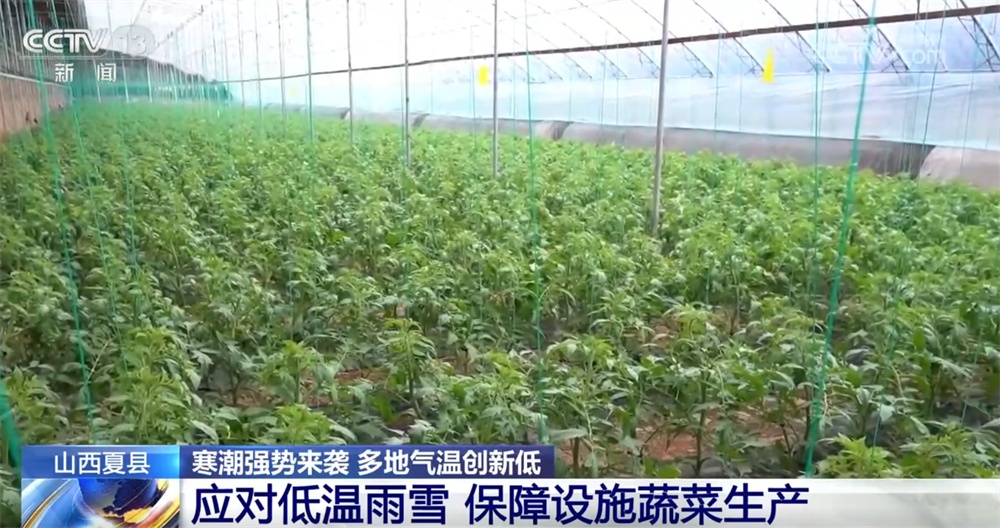 “众志成城”保通保畅保民生 多地多部门全力投入抗风雪、保安全一线