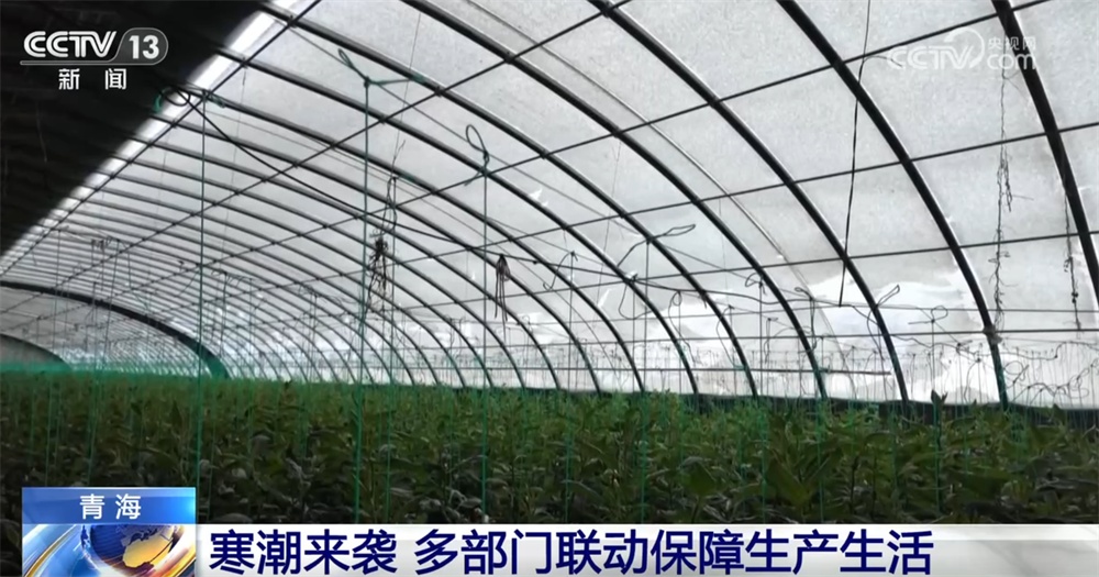 “众志成城”保通保畅保民生 多地多部门全力投入抗风雪、保安全一线