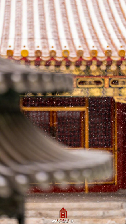 2025故宫雪景壁纸 一年一度故宫雪景大赏