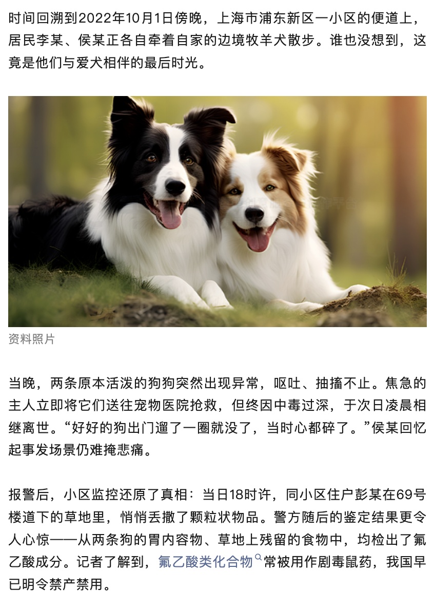“实在受不了”！上海一女子在小区草地投毒，2只宠犬殒命，法院判决→