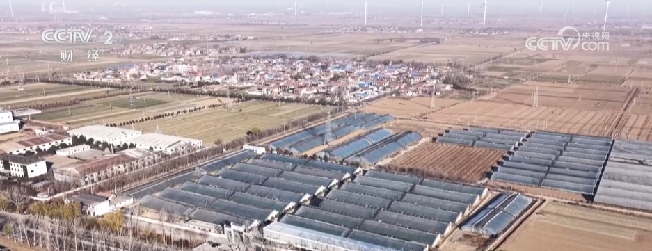 多措并举“迎战”寒潮天气 各地全力保障“菜篮子”稳产稳供