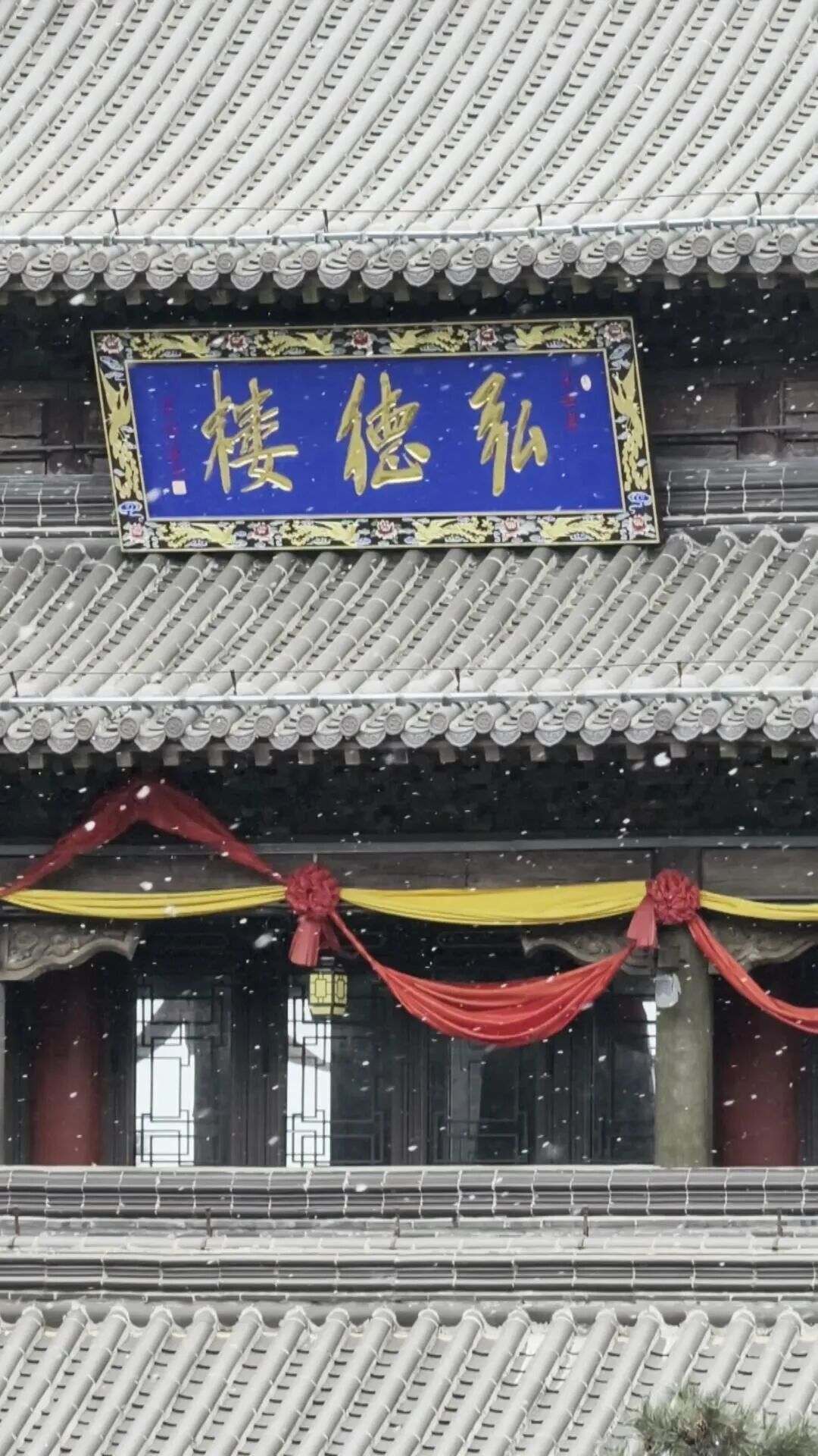 多地雪已开下，气温创新低！山东开启速冻模式