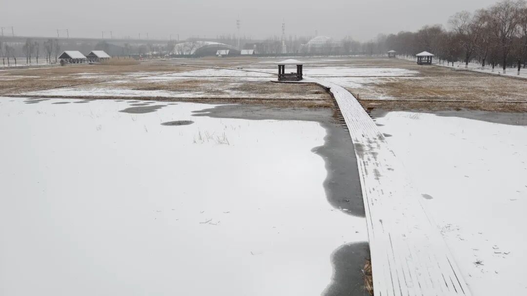 京城初雪！一大波雪景美图来了——