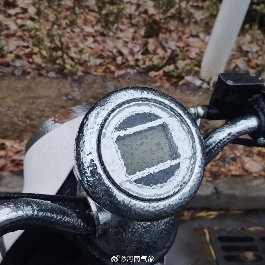 下雪啦！河南多地雪粒已转雪，接下来还有中到大雪，局部暴雪