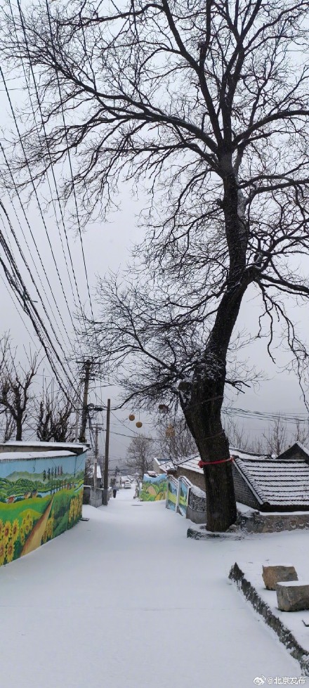昌平第一波雪景图来了 昌平第一波雪景图来了