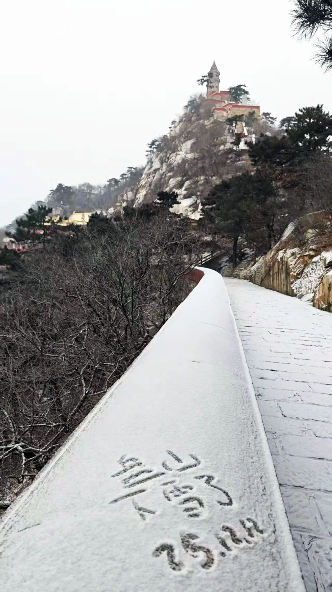 京津冀雪情！明日大风降温！最低-11℃！