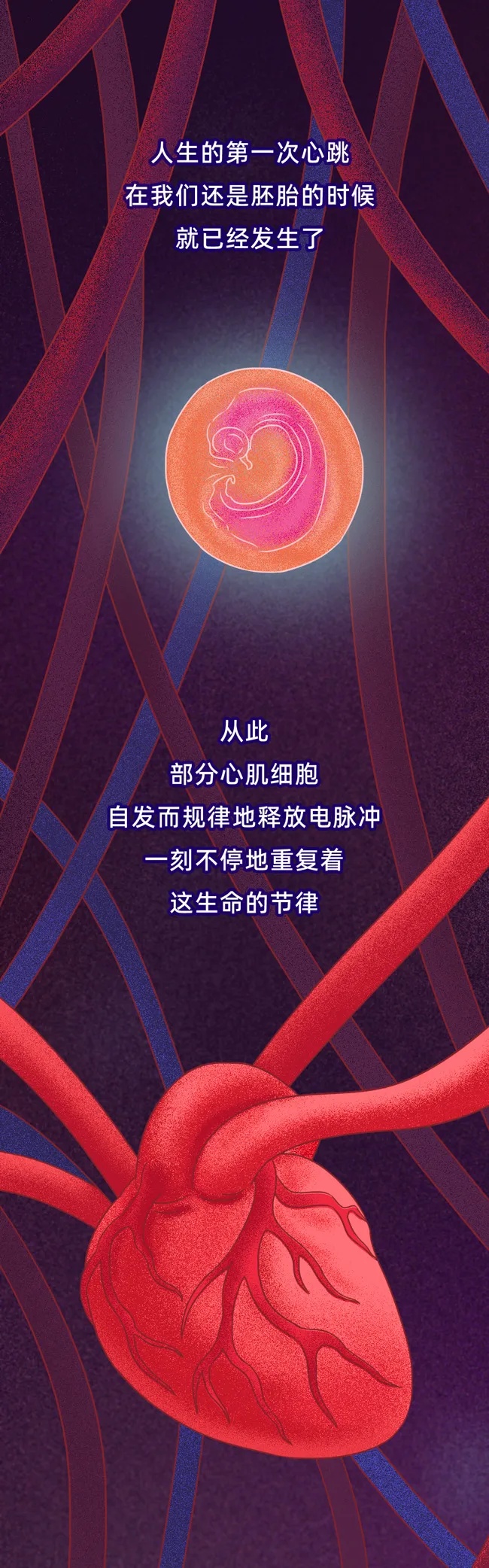 心脏最怕的4件事，你可能每天都在做