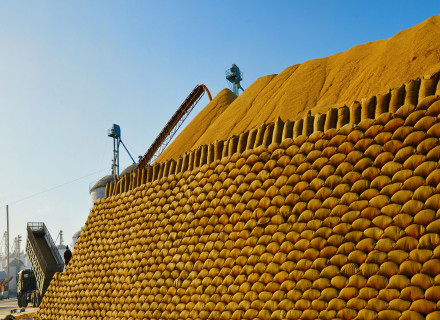 2025年黑龙江粮食总产量1640.06亿斤