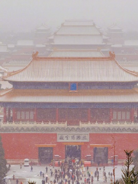 这场雪是干雪还是湿雪？怎么分辨？你今天打雪仗了吗？