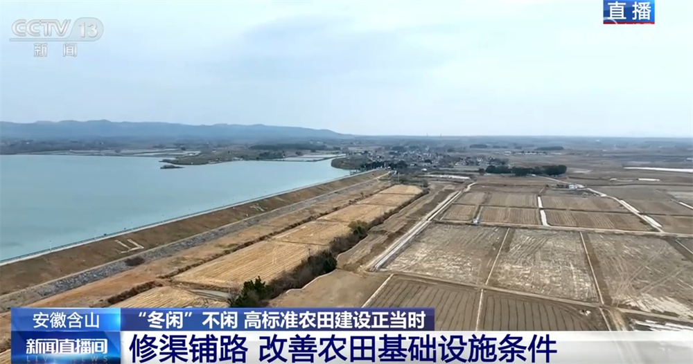 “冬闲”不闲、农机驰骋绘“丰”景 高标准农田建设筑牢粮食安全“根基”