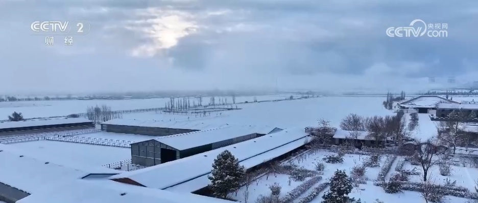 多措并举“迎战”寒潮天气 各地全力保障“菜篮子”稳产稳供