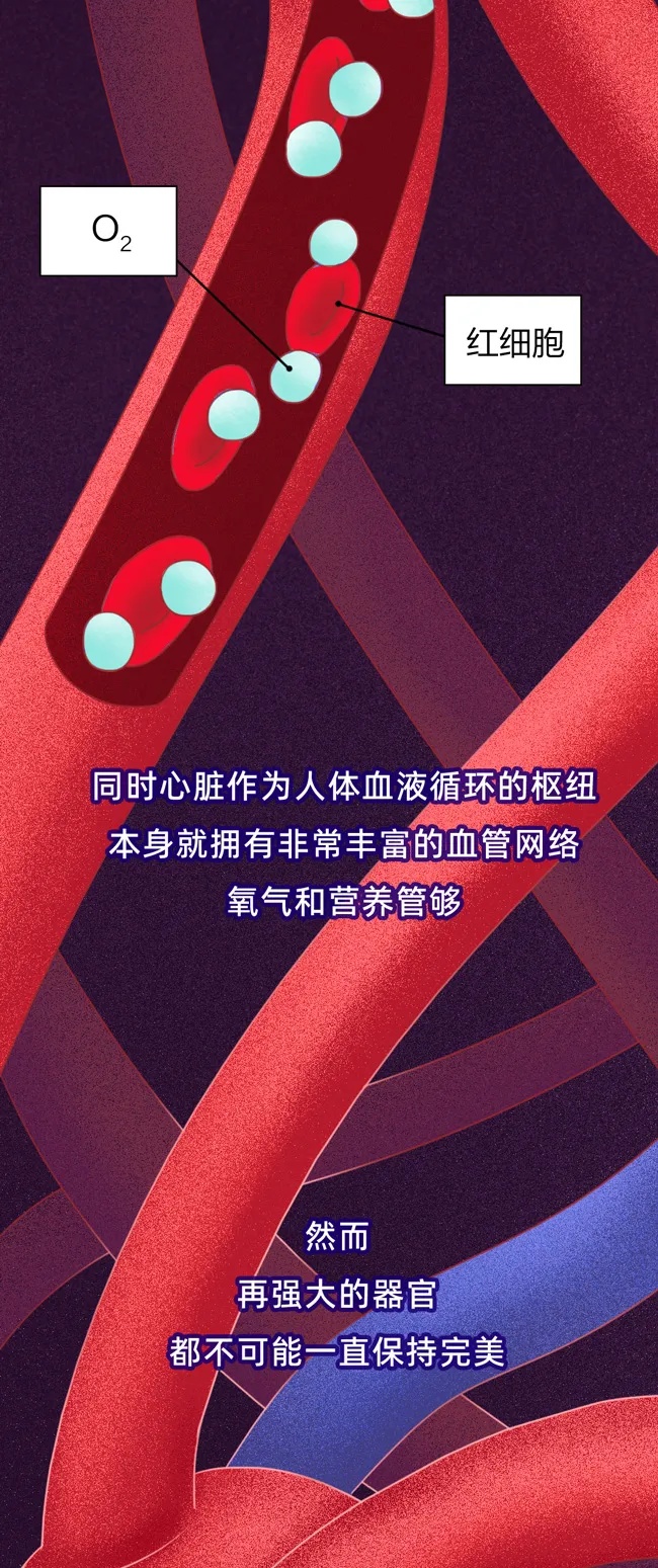 心脏最怕的4件事，你可能每天都在做