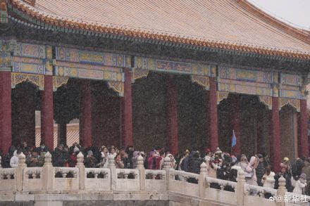 转发收藏！故宫初雪大片又上新了！
