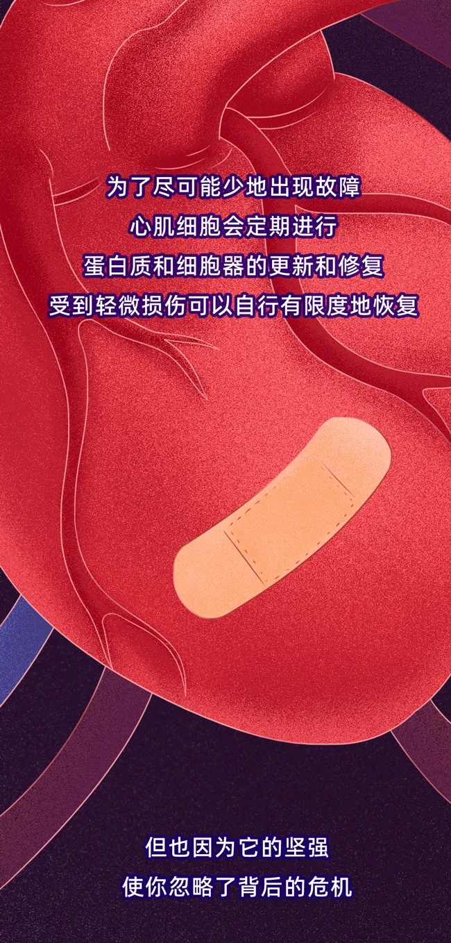 心脏最怕的4件事，你可能每天都在做