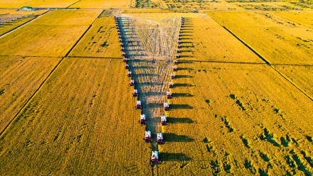 2025年黑龙江粮食总产量1640.06亿斤