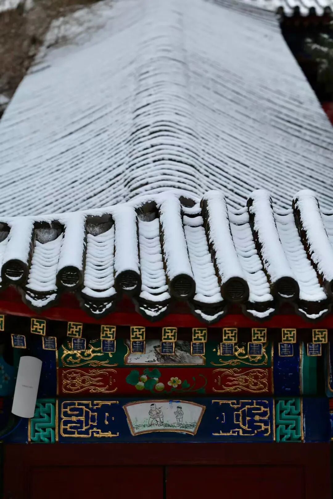 京城初雪！一大波雪景美图来了——