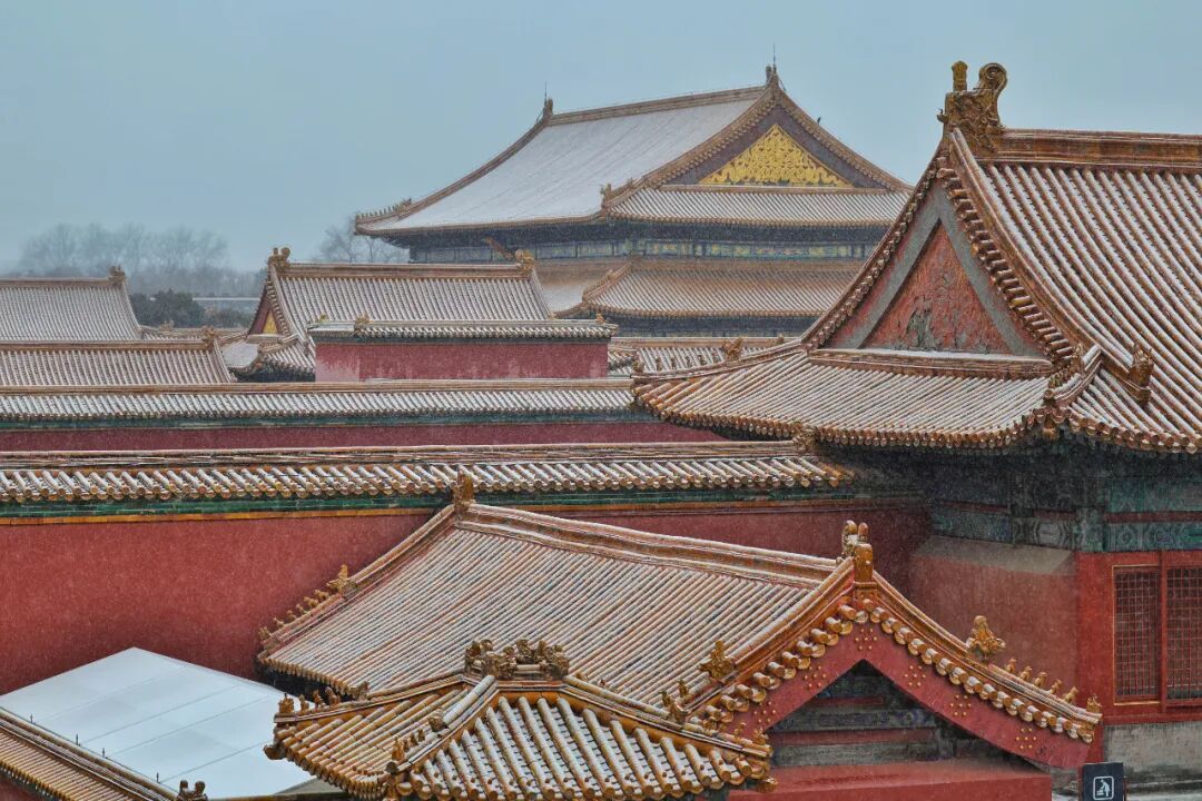 京城初雪！一大波雪景美图来了——