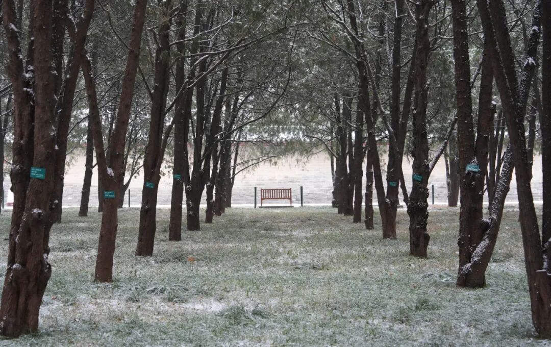 京城初雪！一大波雪景美图来了——