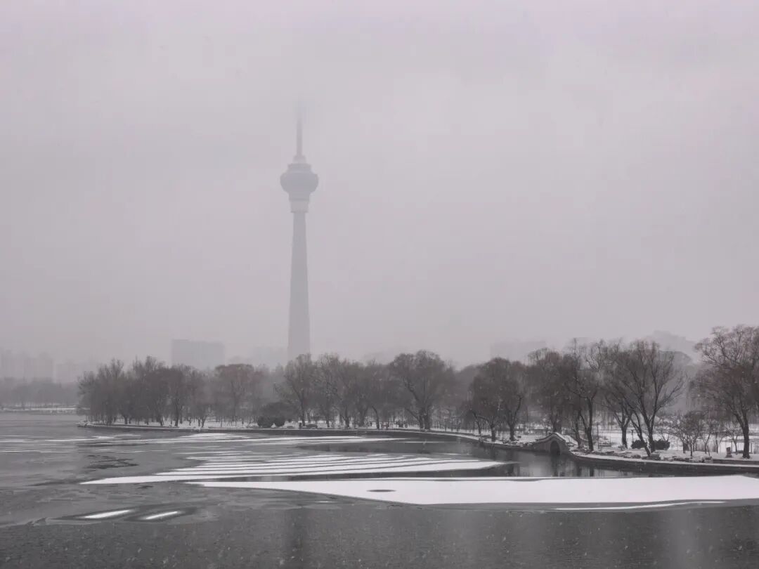 京城初雪！一大波雪景美图来了——