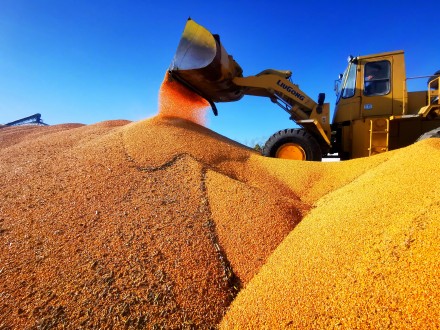 2025年黑龙江粮食总产量1640.06亿斤