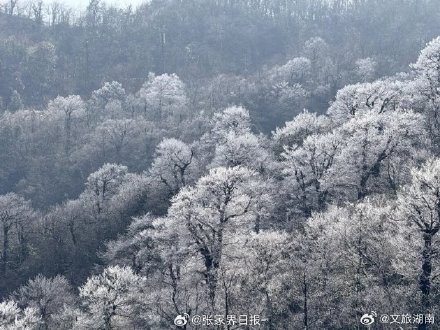 张家界天门山雾凇上线