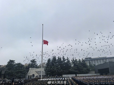 国家公祭仪式现场放飞和平鸽