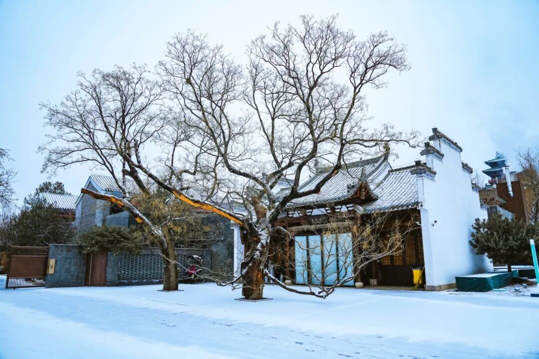 雪中延庆有多美？多图直击→