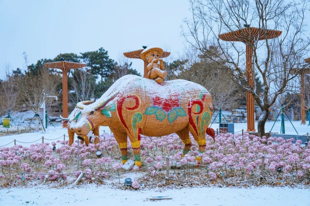 雪中延庆有多美？多图直击→