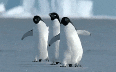 雪天路滑建议学企鹅走路 雪天路滑建议学企鹅走路