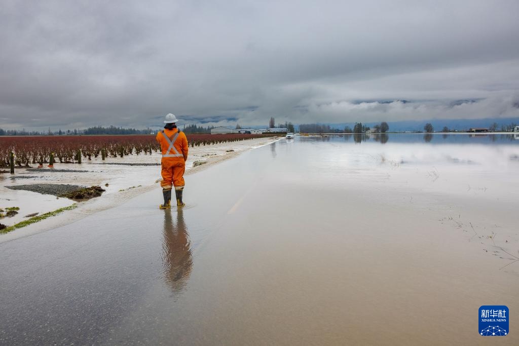 加拿大不列颠哥伦比亚省发生洪涝