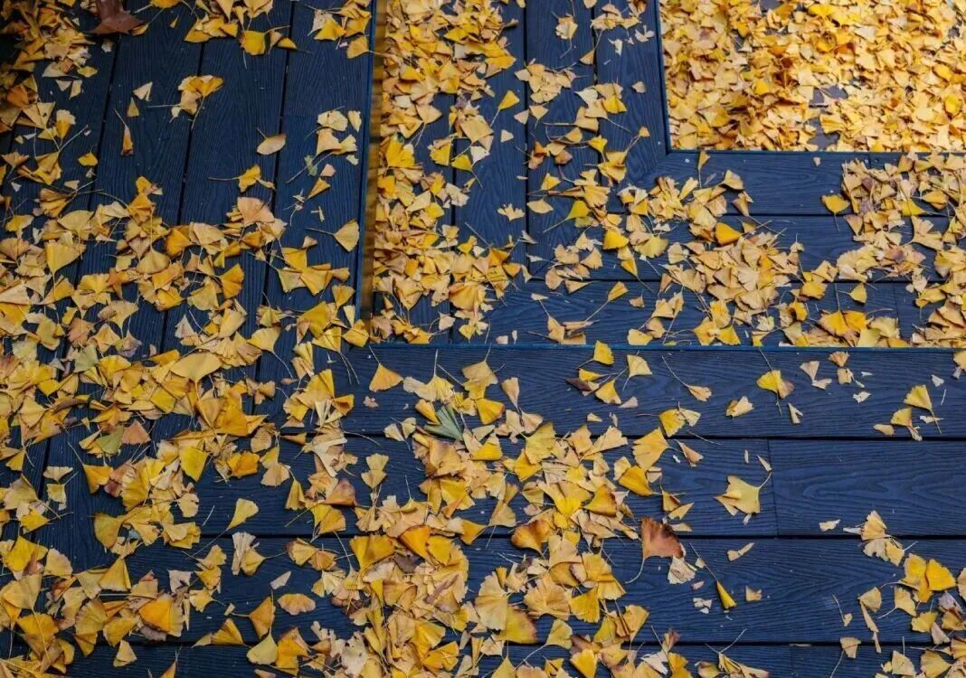 哇,下雪啦!杭州明后天气温“触底”,出门裹严实些 哇,下雪啦!杭州明后天气温“触底”,出门裹严实些