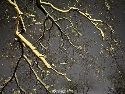 老舍笔下济南的冬天有了具象化