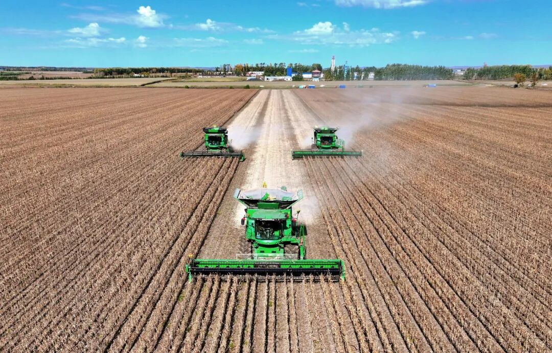 再超1.4万亿斤！端牢中国饭碗有信心有底气