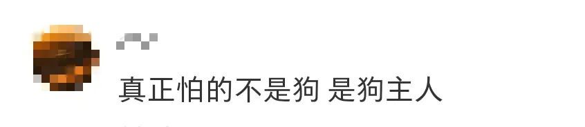 遛狗不拴绳,最高拘10天! 遛狗不拴绳,最高拘10天!