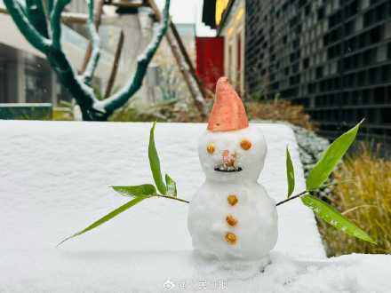 朋友圈全是雪孩子