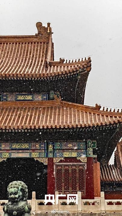 一下雪故宫就美成了紫禁城 一下雪故宫就美成了紫禁城