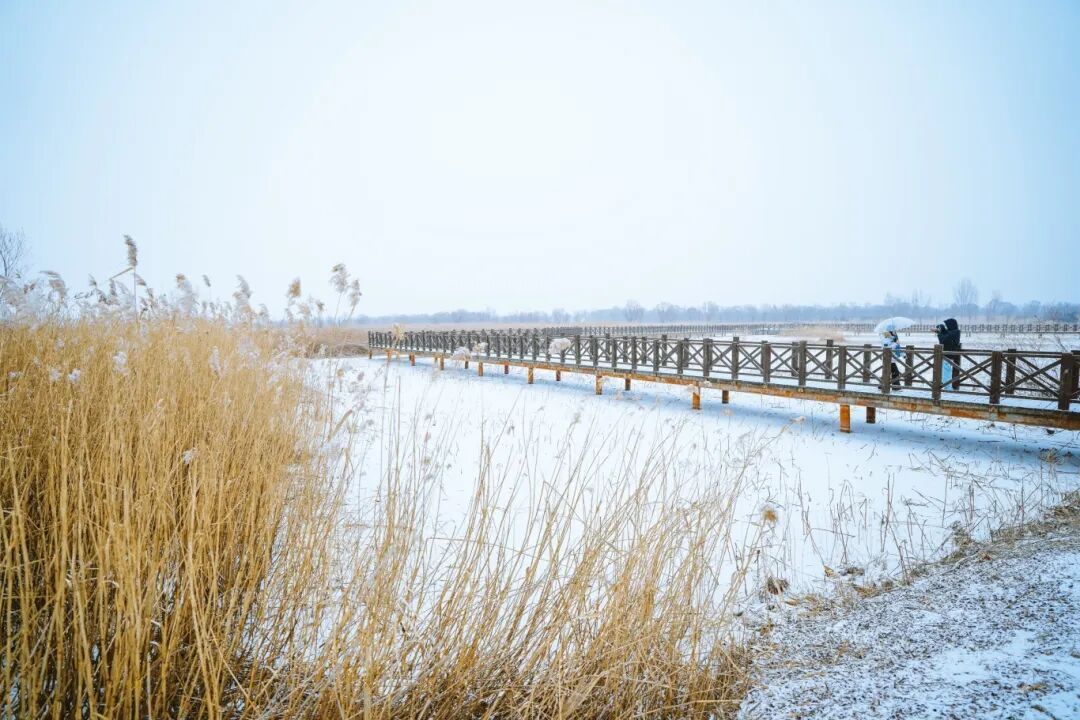 雪中延庆有多美？多图直击→