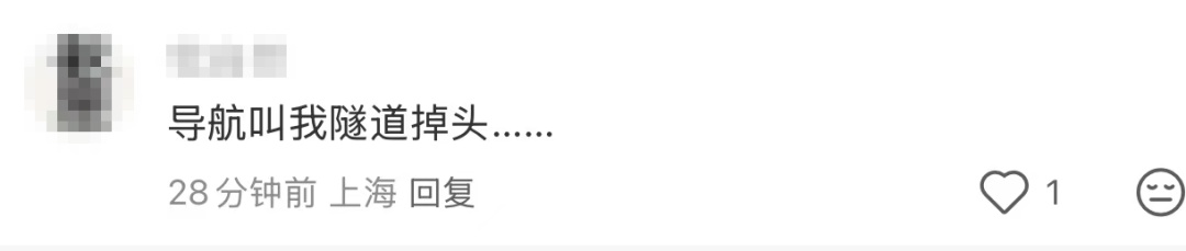 男子高架开车逆行17公里：导航叫我这么开的！民警一查……法院：判刑3年